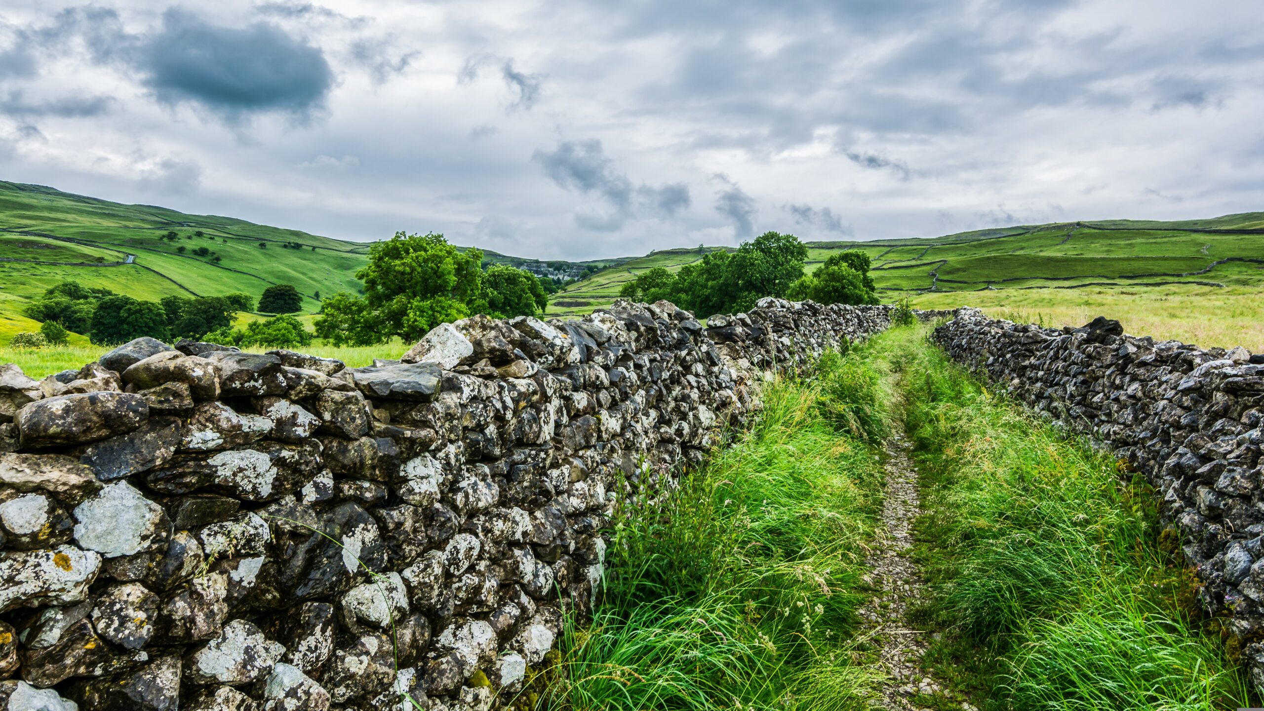 Walking trail flanked with dry stone walls that cuts through the British countryside